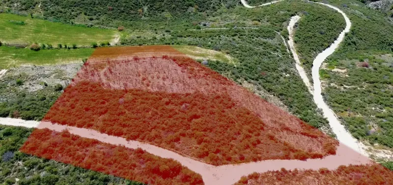 Agricultural Field 6021 m² in Praitori