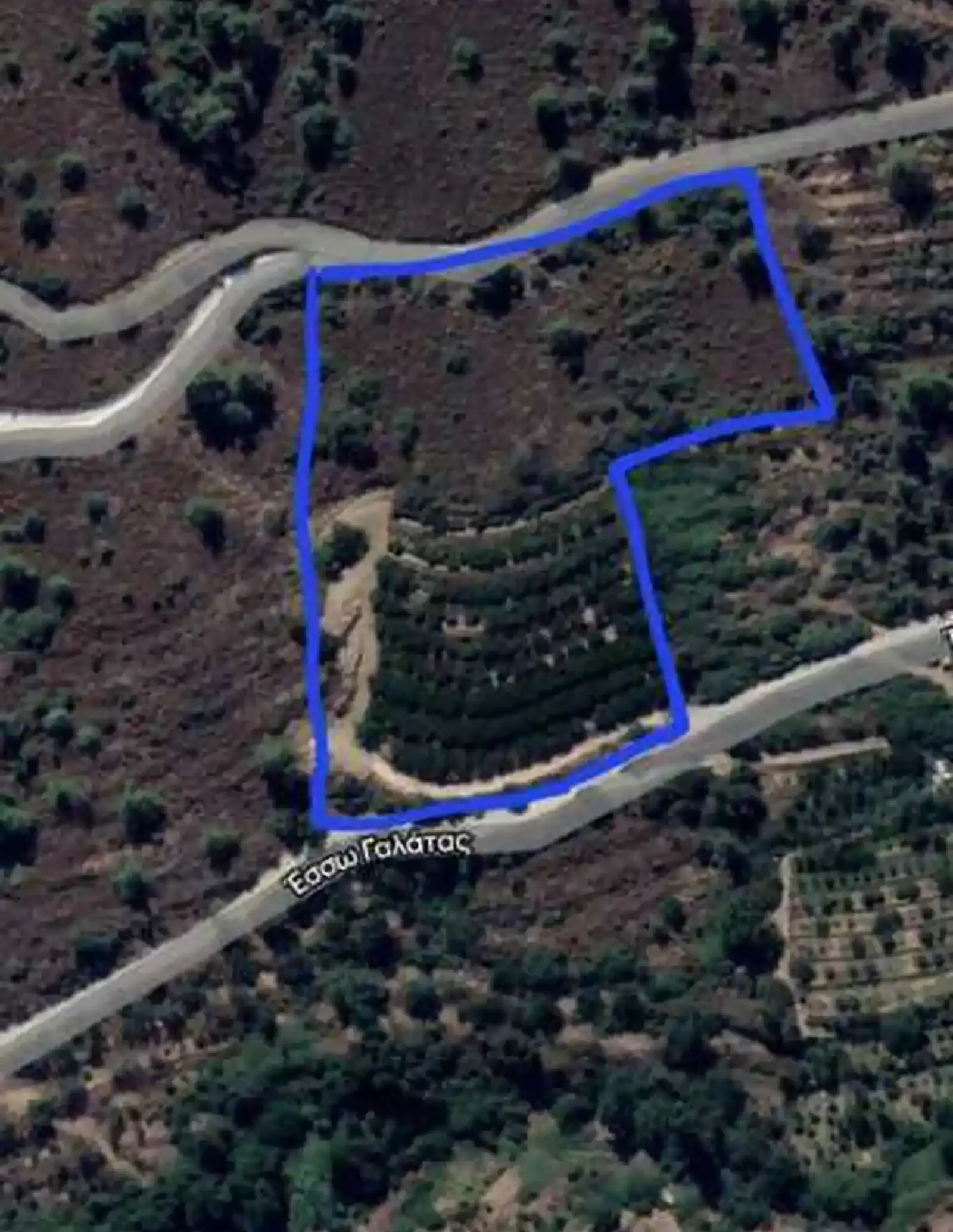 Residential Field 8176 m² in Galata