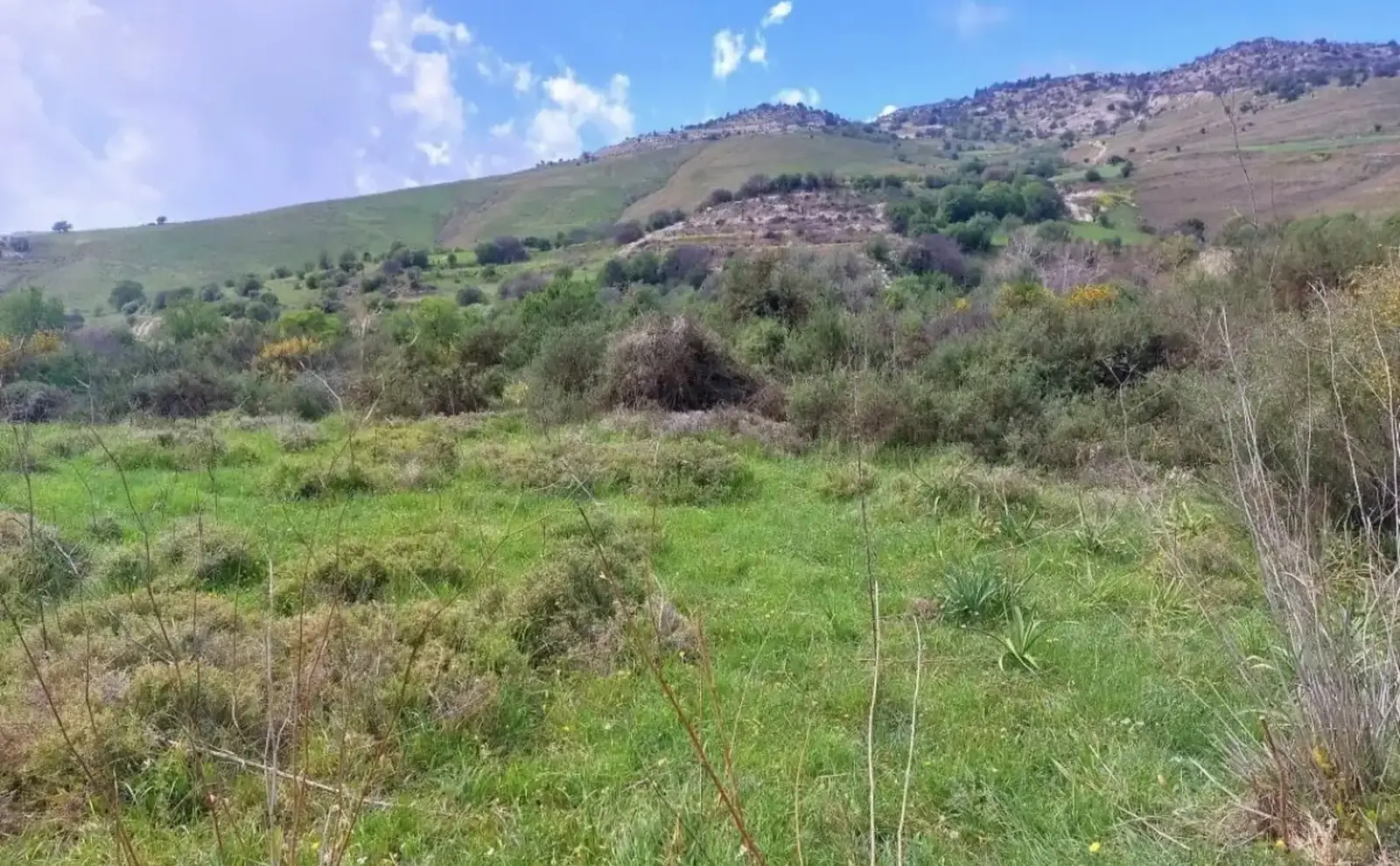 Agricultural Field 14000 m² in Kannaviou