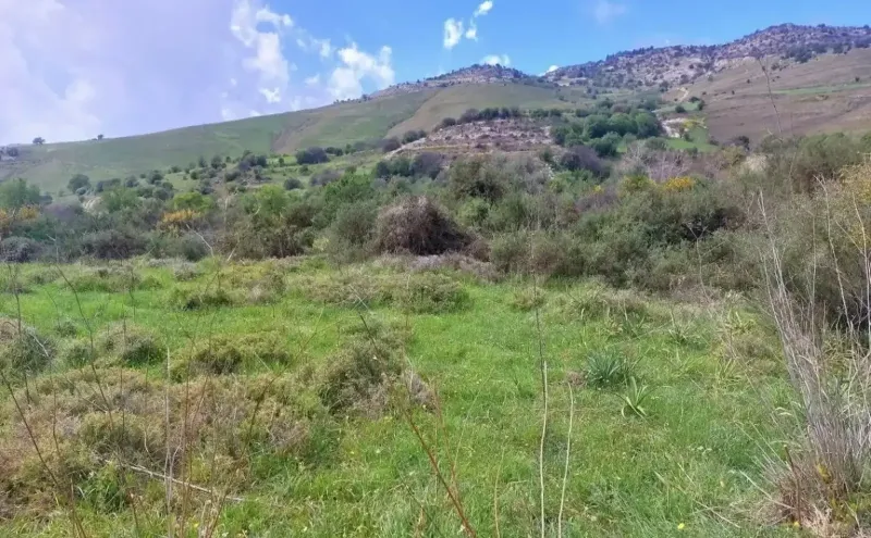 Agricultural Field 14000 m² in Kannaviou