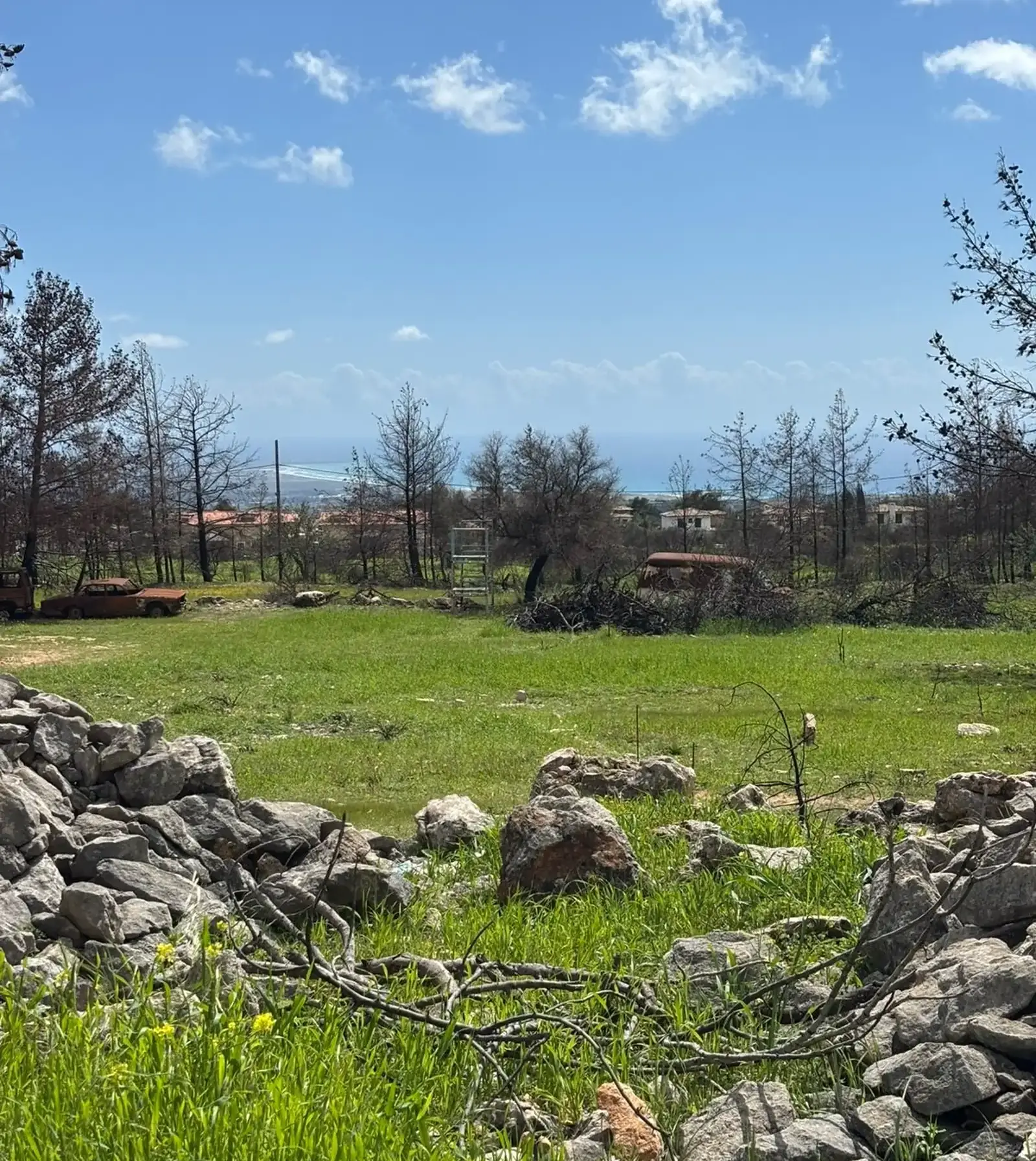 Residential Plot 3654 m² in Souni