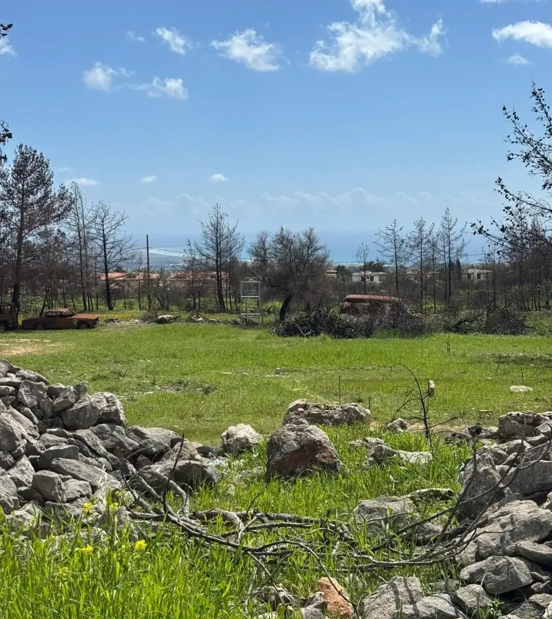Residential Plot 3654 m² in Souni