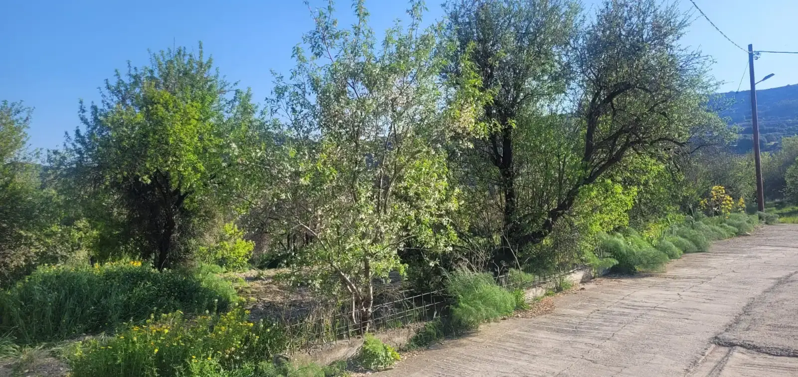 Residential Plot 1629 m² in Lefkara Kato