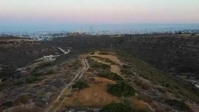 Agricultural land 41000 m² in Agios Athanasios