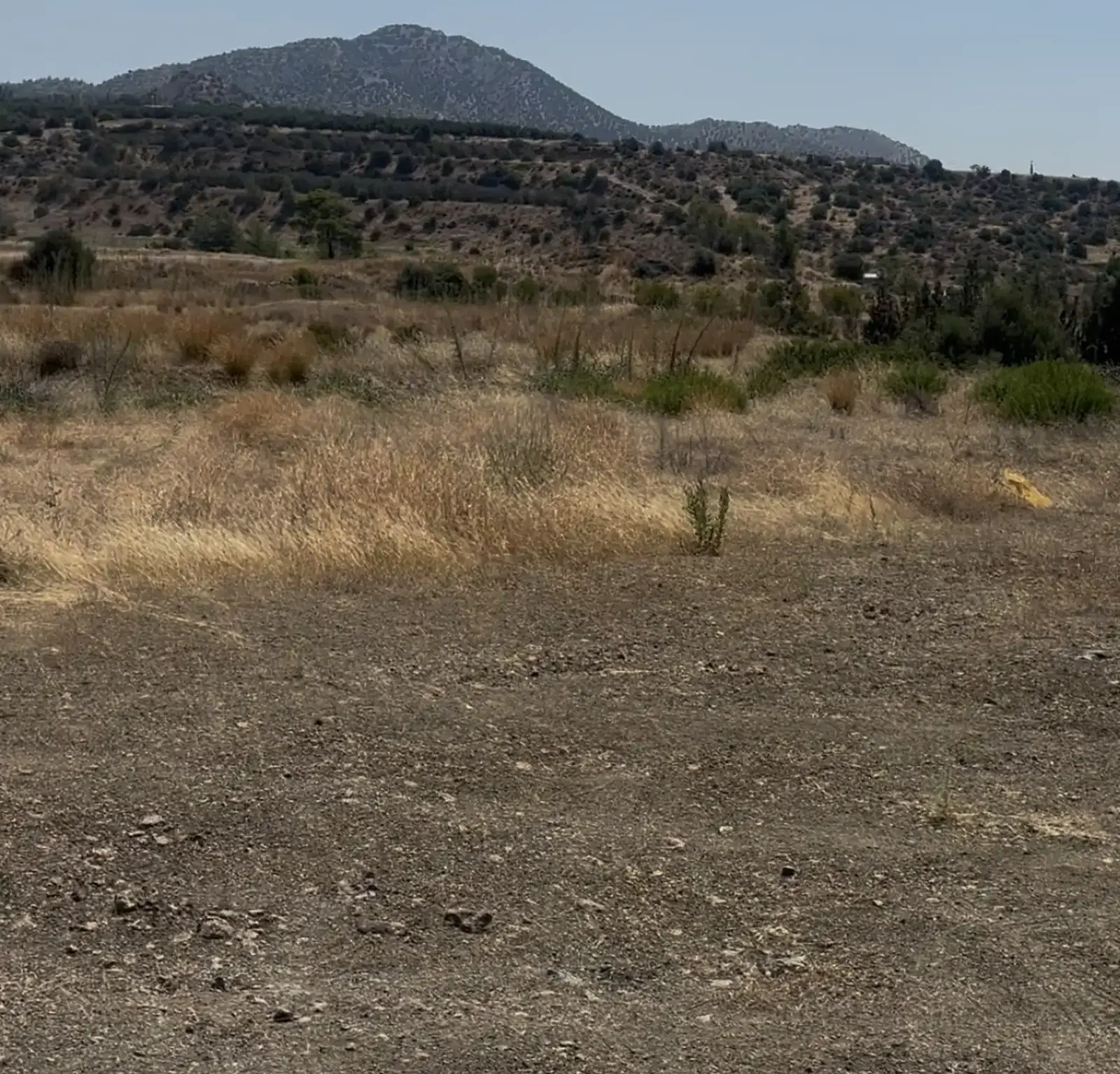 Γεωργικό χωράφι 500 m² προς πώληση στην περιοχή Parekklisia