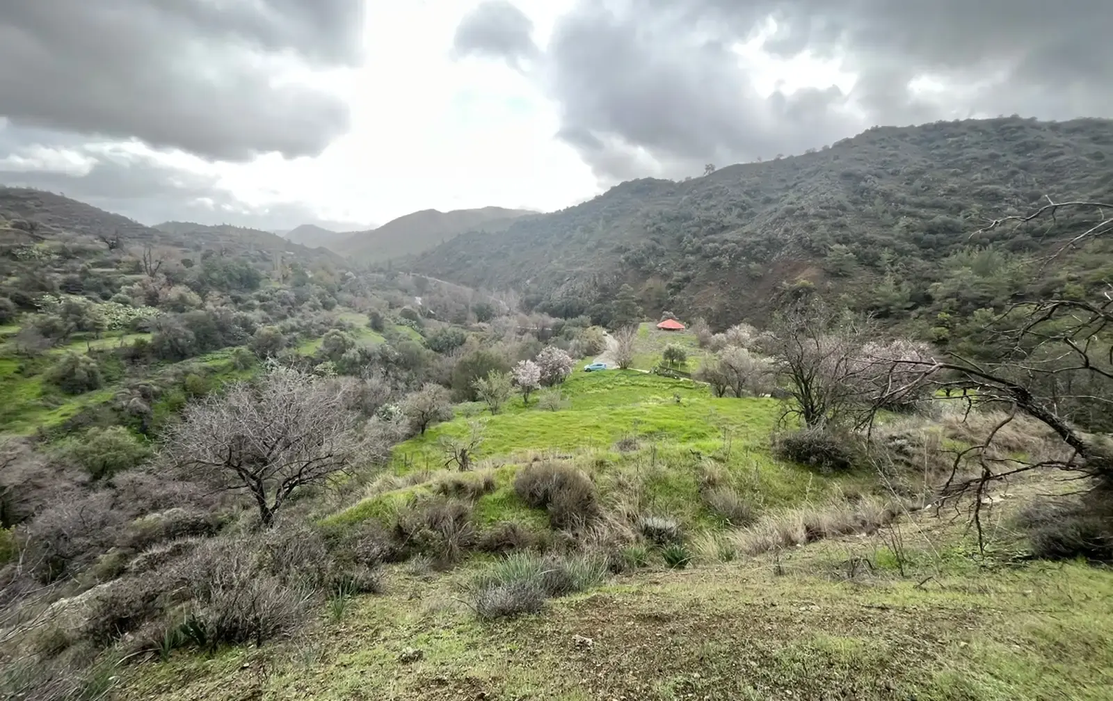 Agricultural Field 5500 m² in Kalo Chorio Lemesou