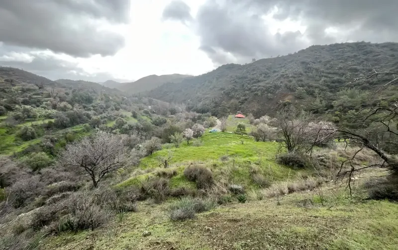 Agricultural Field 5500 m² in Kalo Chorio Lemesou