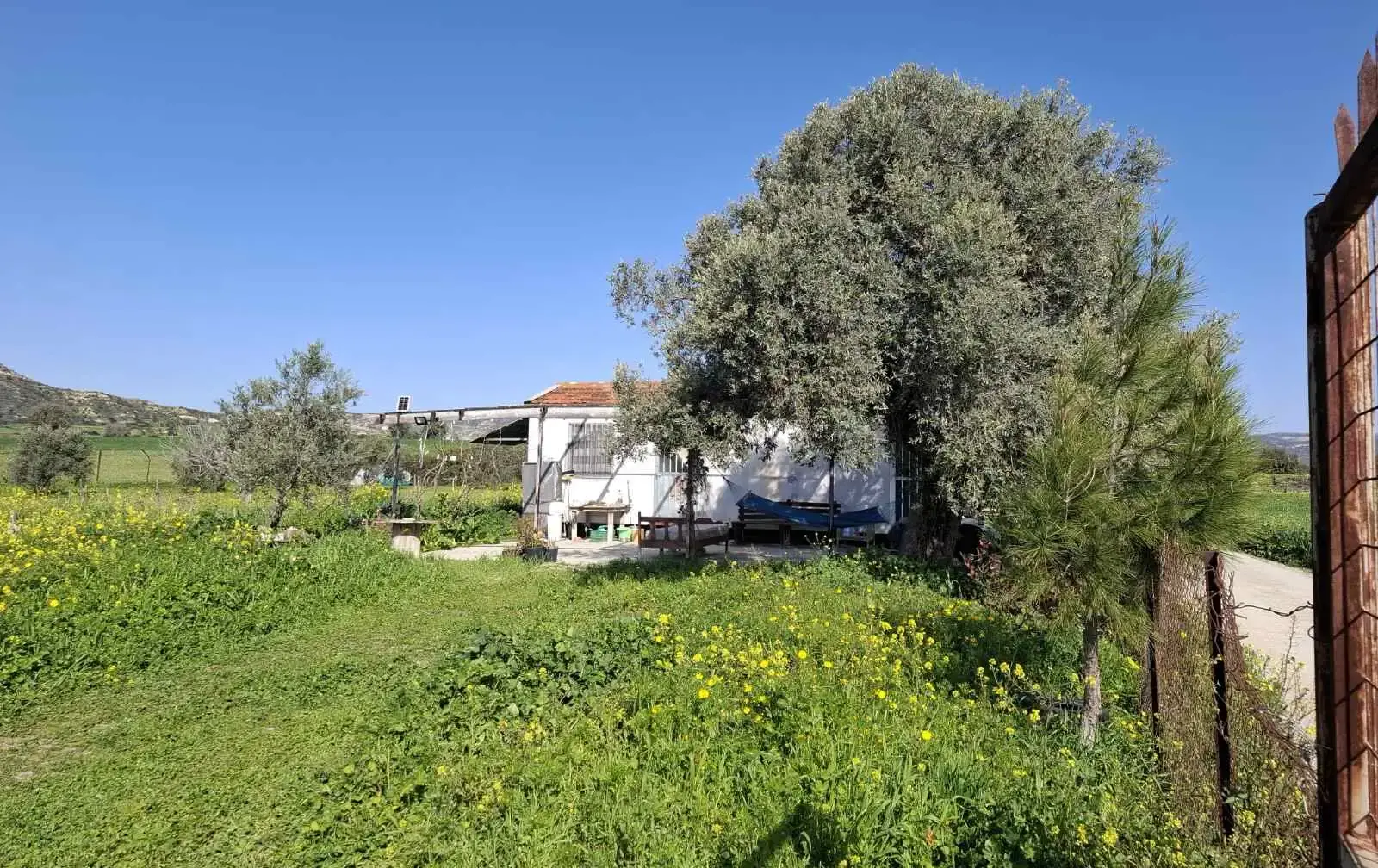 Agricultural Field 2021 m² in Avdimou