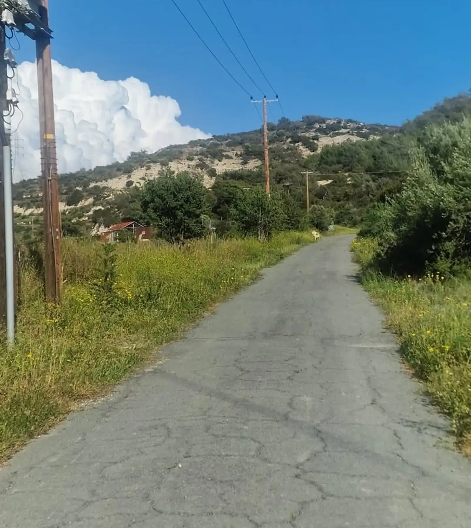 Agricultural Field 5000 m² in Pissouri