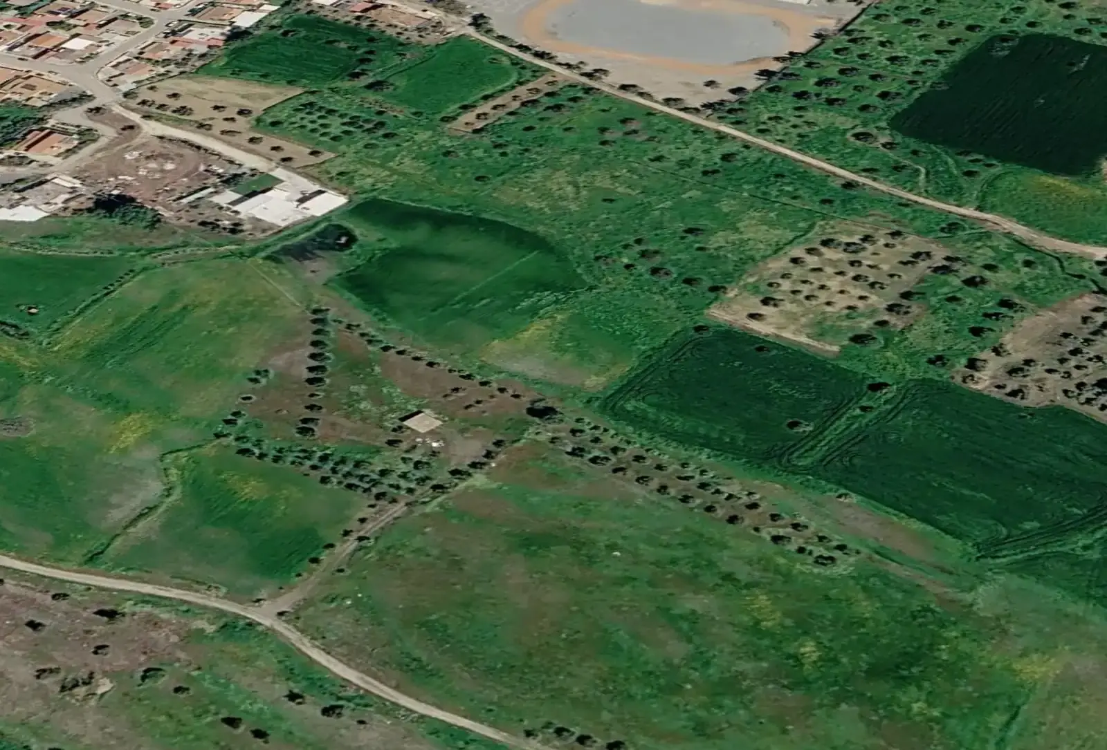 Agricultural Field 14216 m² in Akaki