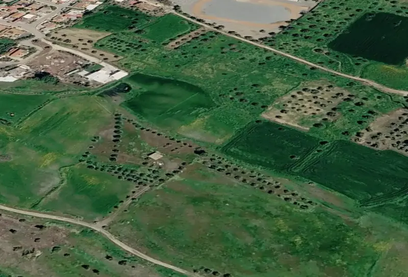 Agricultural Field 14216 m² in Akaki