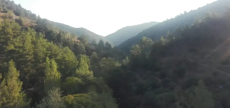 Agricultural Field 2000 m² in Gerakies