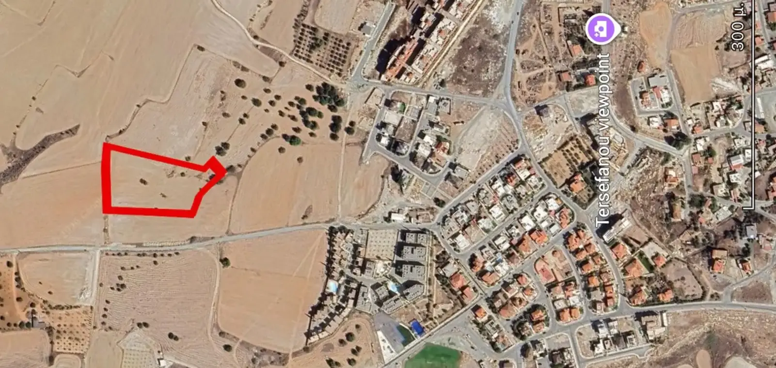 Agricultural Field 11400 m² in Tersefanou