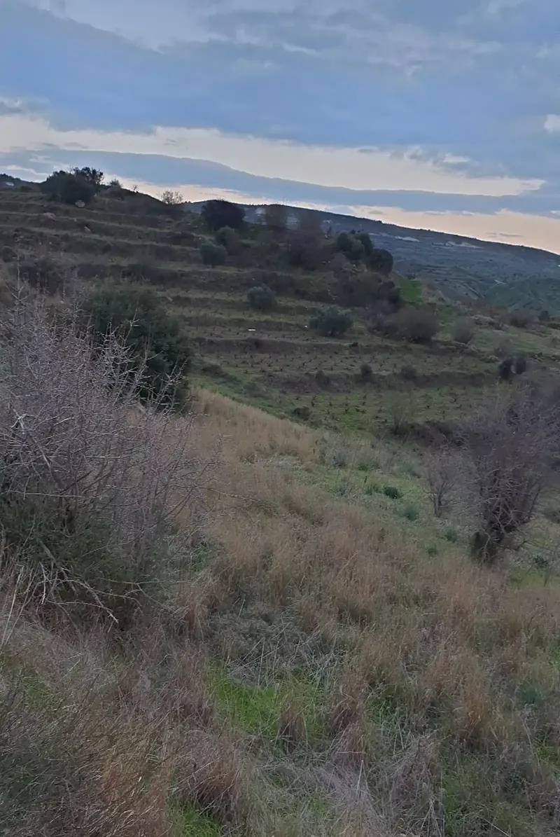 Agricultural Field 9000 m² in Statos - Agios Fotios