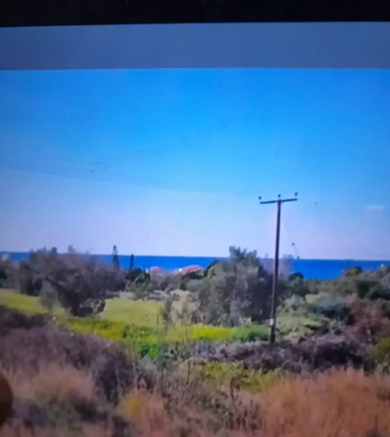 Residential Field 3345 m² in Pomos