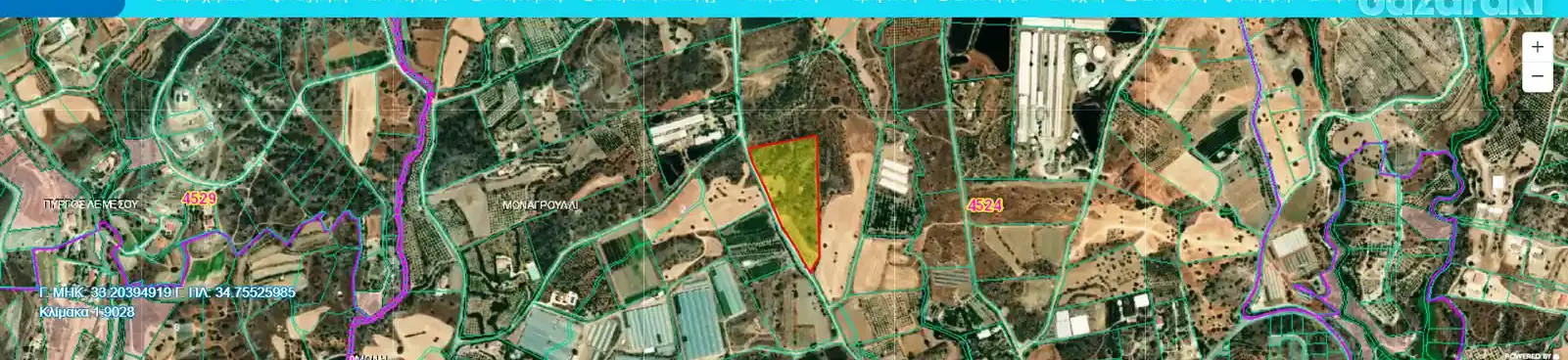 Agricultural Field 22643 m² in Monagroulli