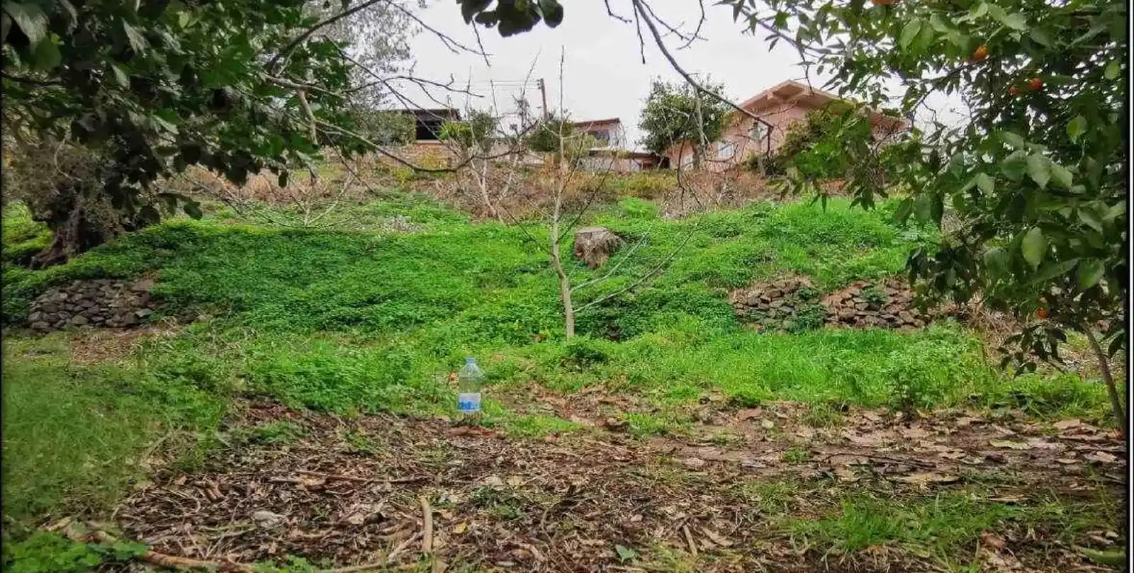 Residential Plot 604 m² in Agioi Vavatsinias