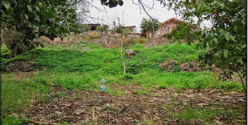 Residential Plot 604 m² in Agioi Vavatsinias