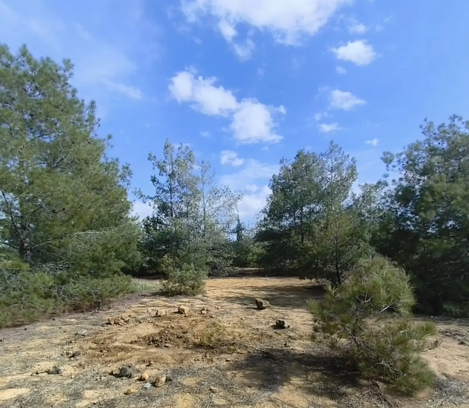 Γεωργικό χωράφι 13,044 m² προς πώληση στην περιοχή Analiontas