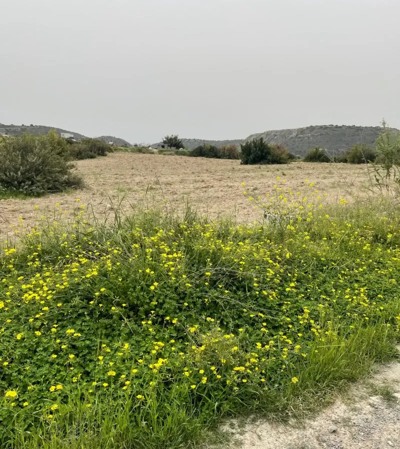 Residential Field 12519 m² in Fasoula Lemesou