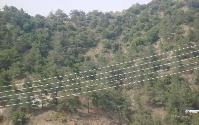 Agricultural Field 25586 m² in Pera Pedi