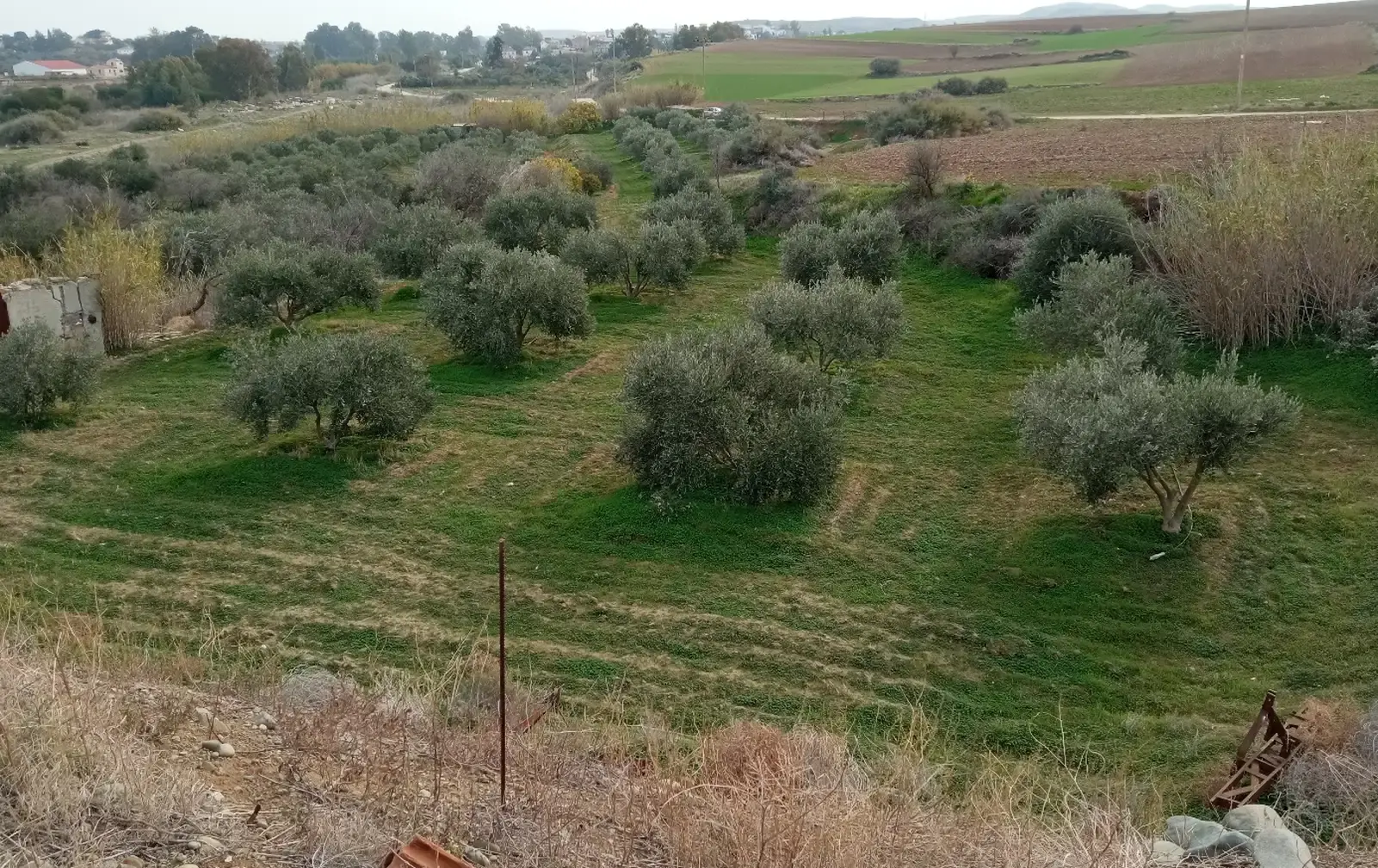Γεωργική γη 8,000 m² προς πώληση στην περιοχή Meniko