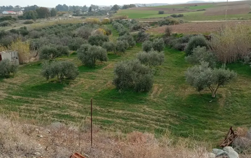 Agricultural land 8000 m² in Meniko