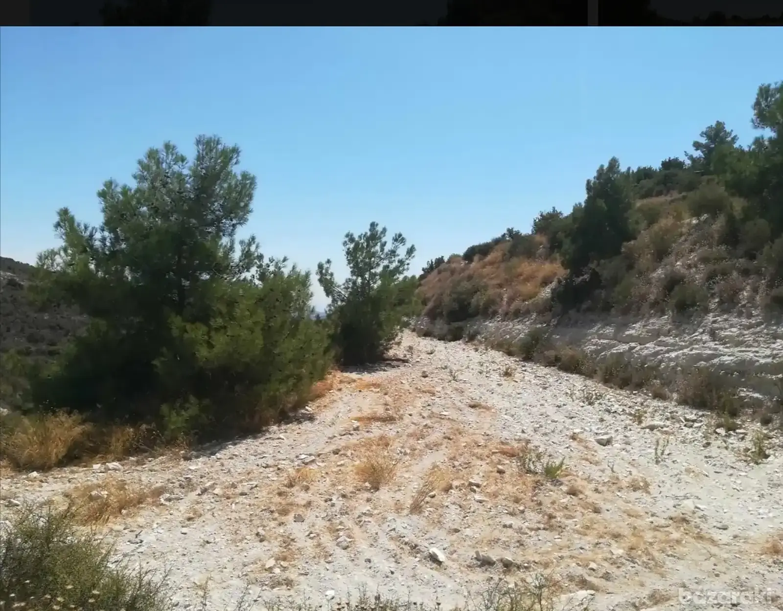 Agricultural Plot 6000 m² in Lefkara Pano