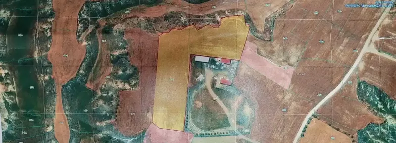 Agricultural Plot 9031 m² in Ergates