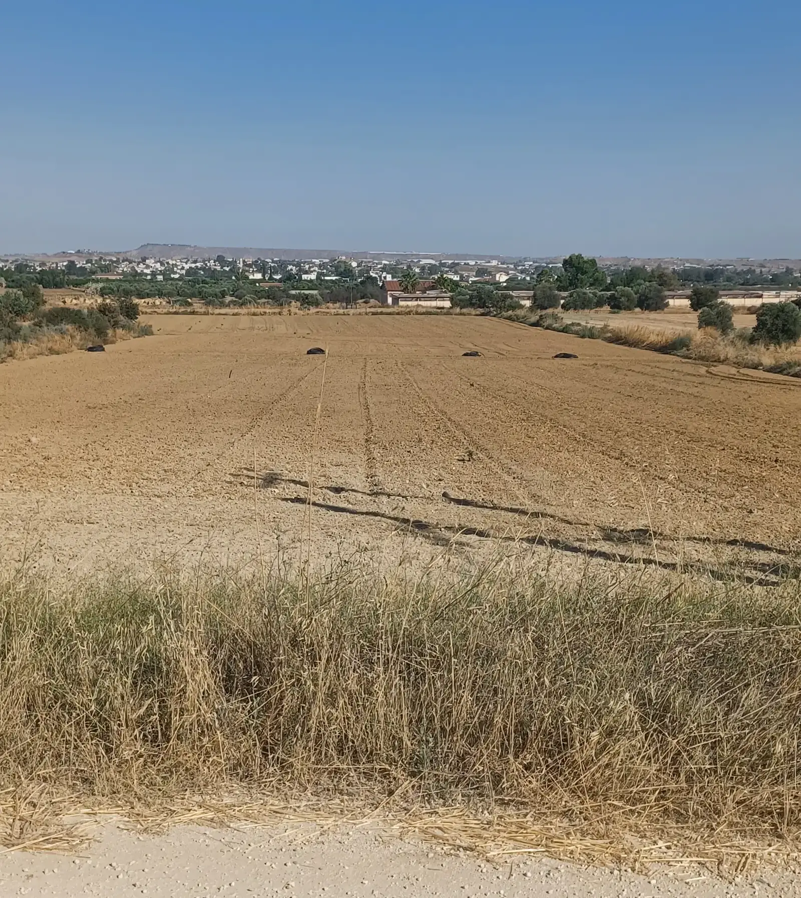 Γεωργικό χωράφι 7,693 m² προς πώληση στην περιοχή Pera
