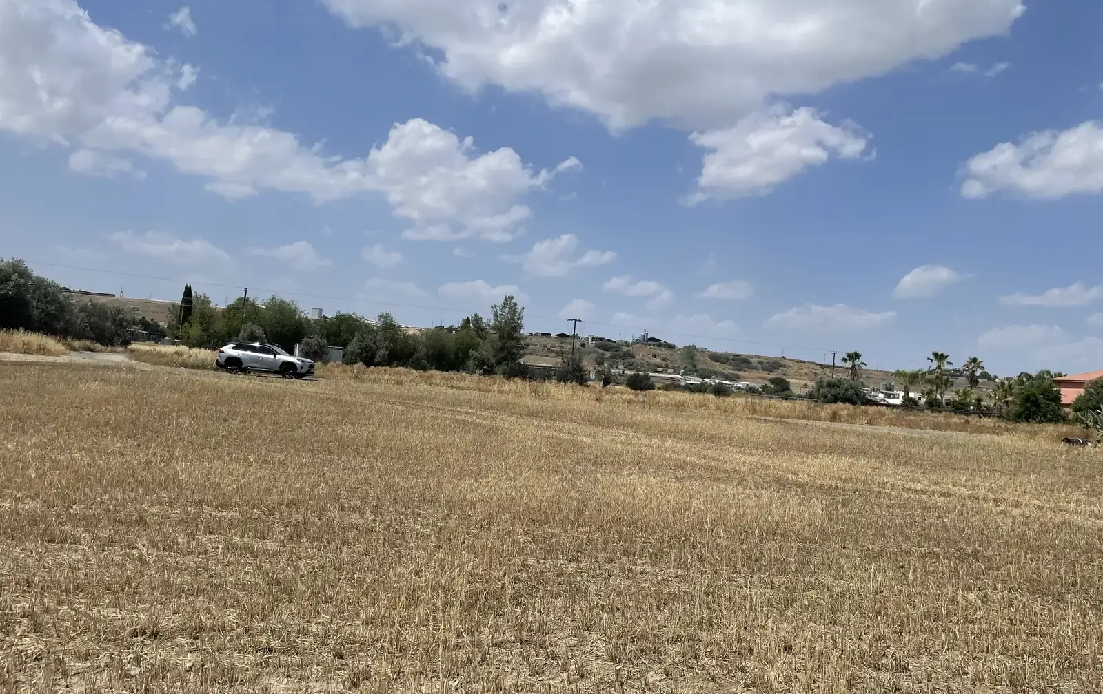 Residential Field 1673 m² in Dali