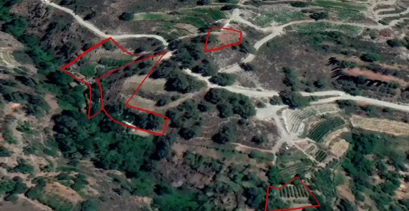 Agricultural Field 4275 m² in Agridia