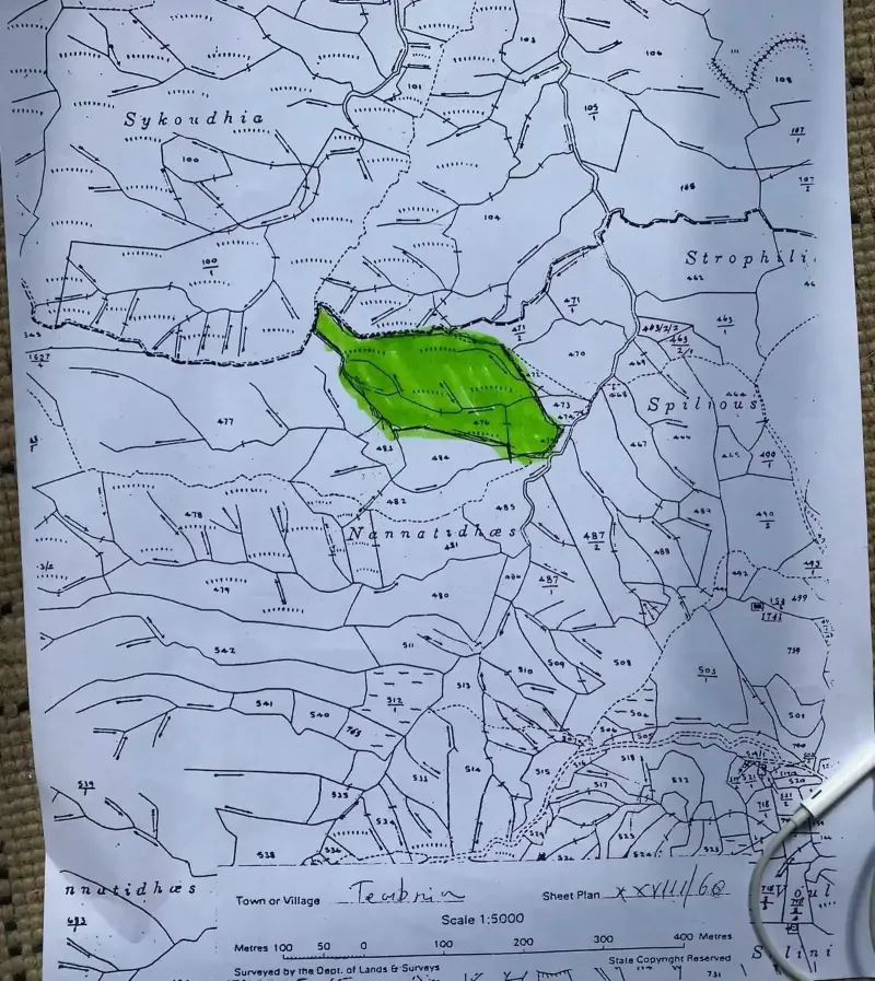 Agricultural Field 31000 m² in Palouriotissa