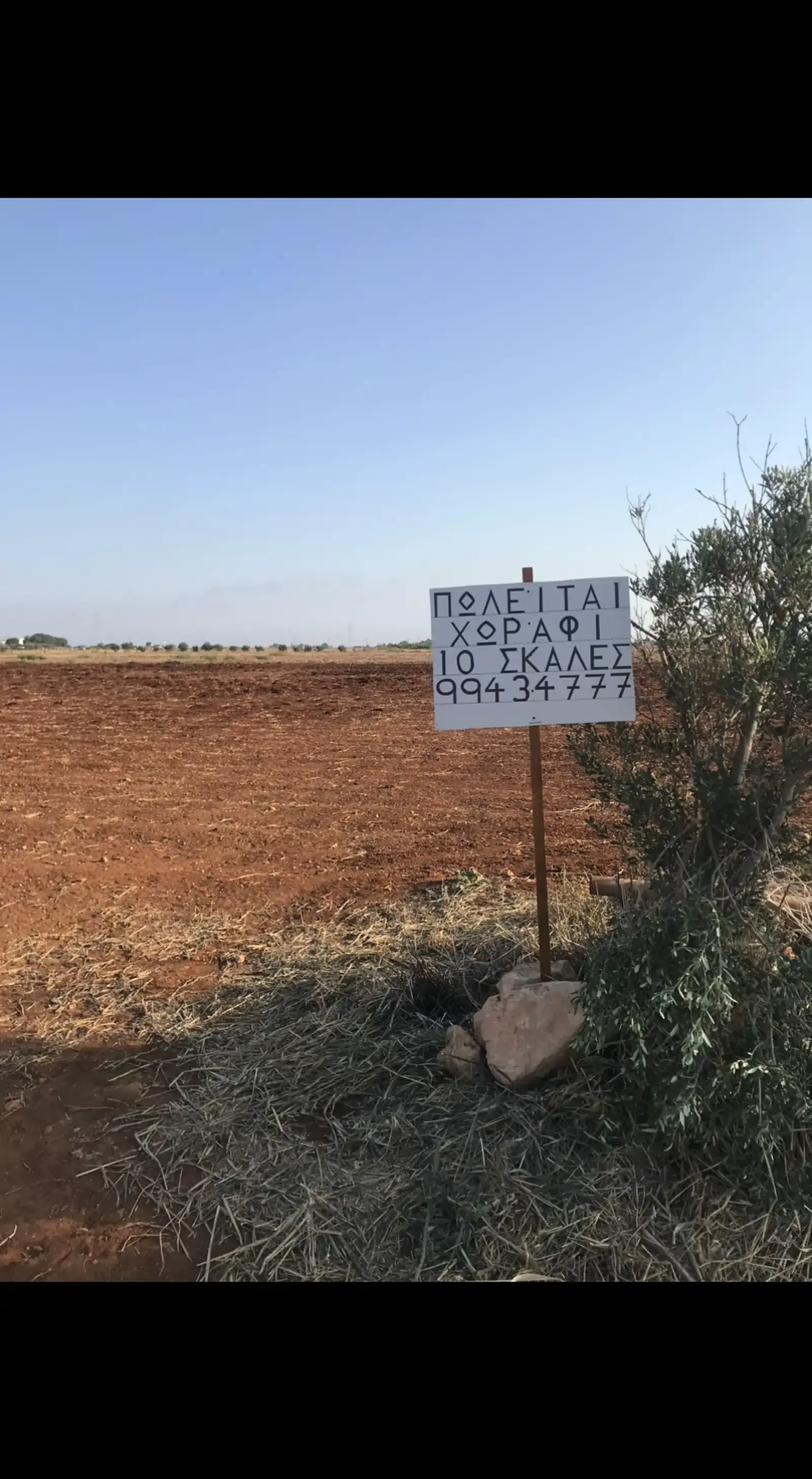 Agricultural Field 12990 m² in Avgorou