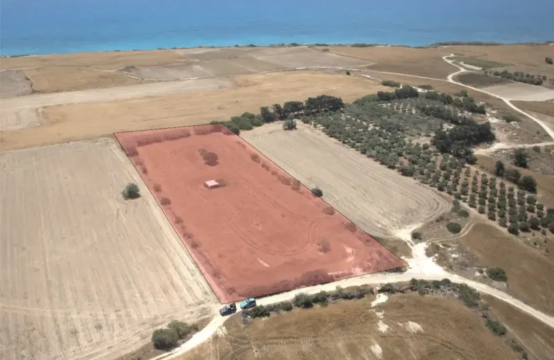 Agricultural Field 8250 m² in Mazotos