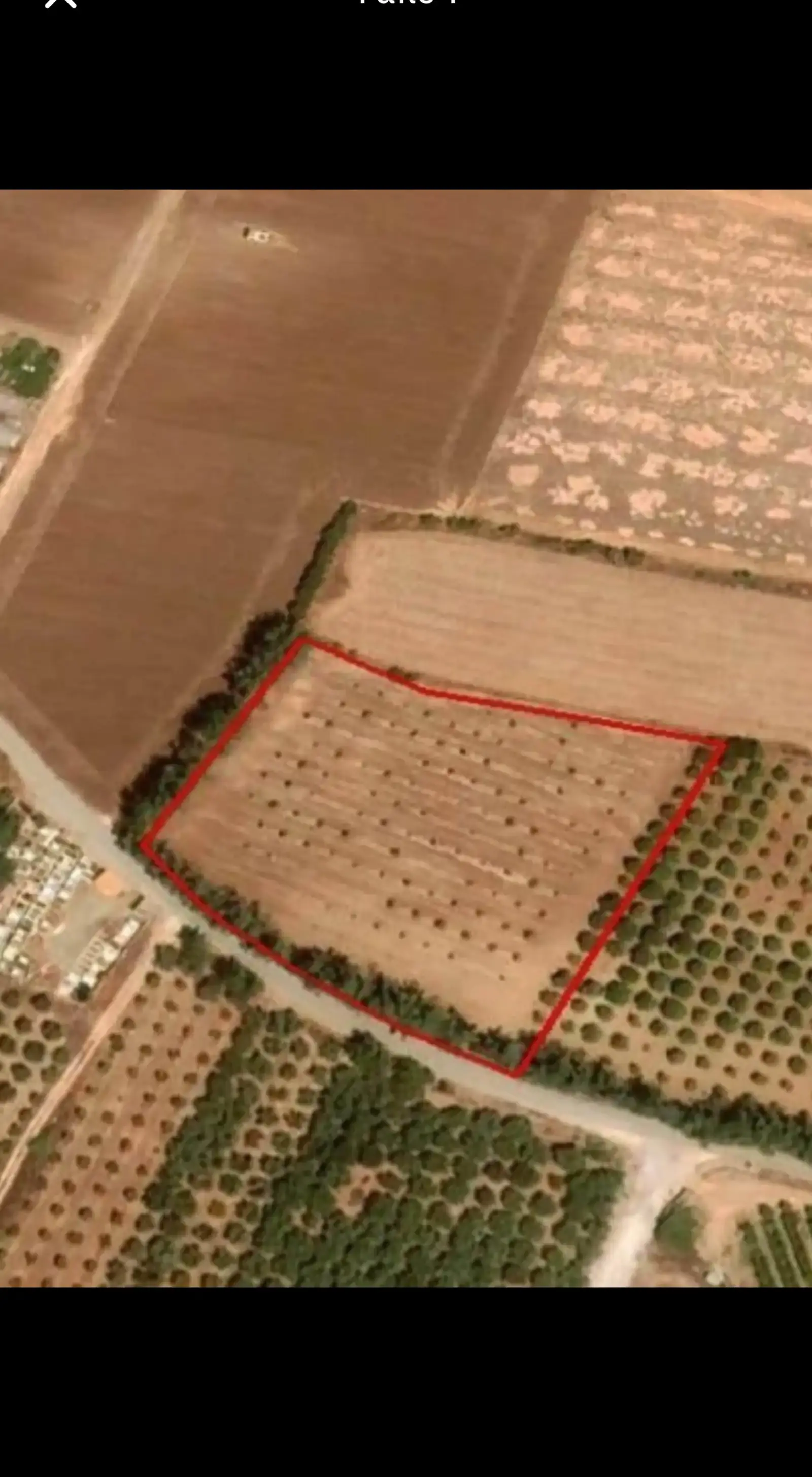 Residential Plot 7913 m² in Mandria Pafou