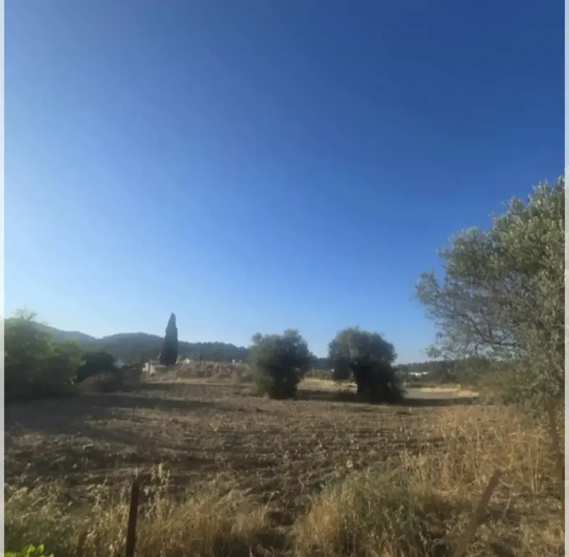 Residential Plot 1673 m² in Kornos