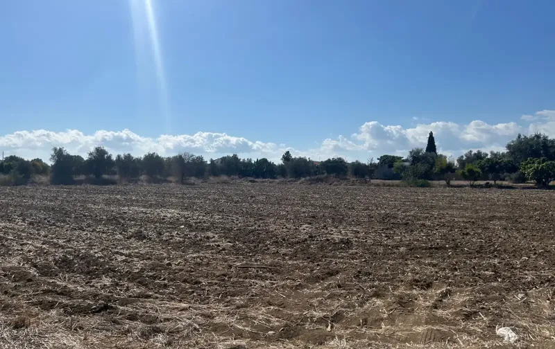 Residential Field 3103 m² in Psimolofou