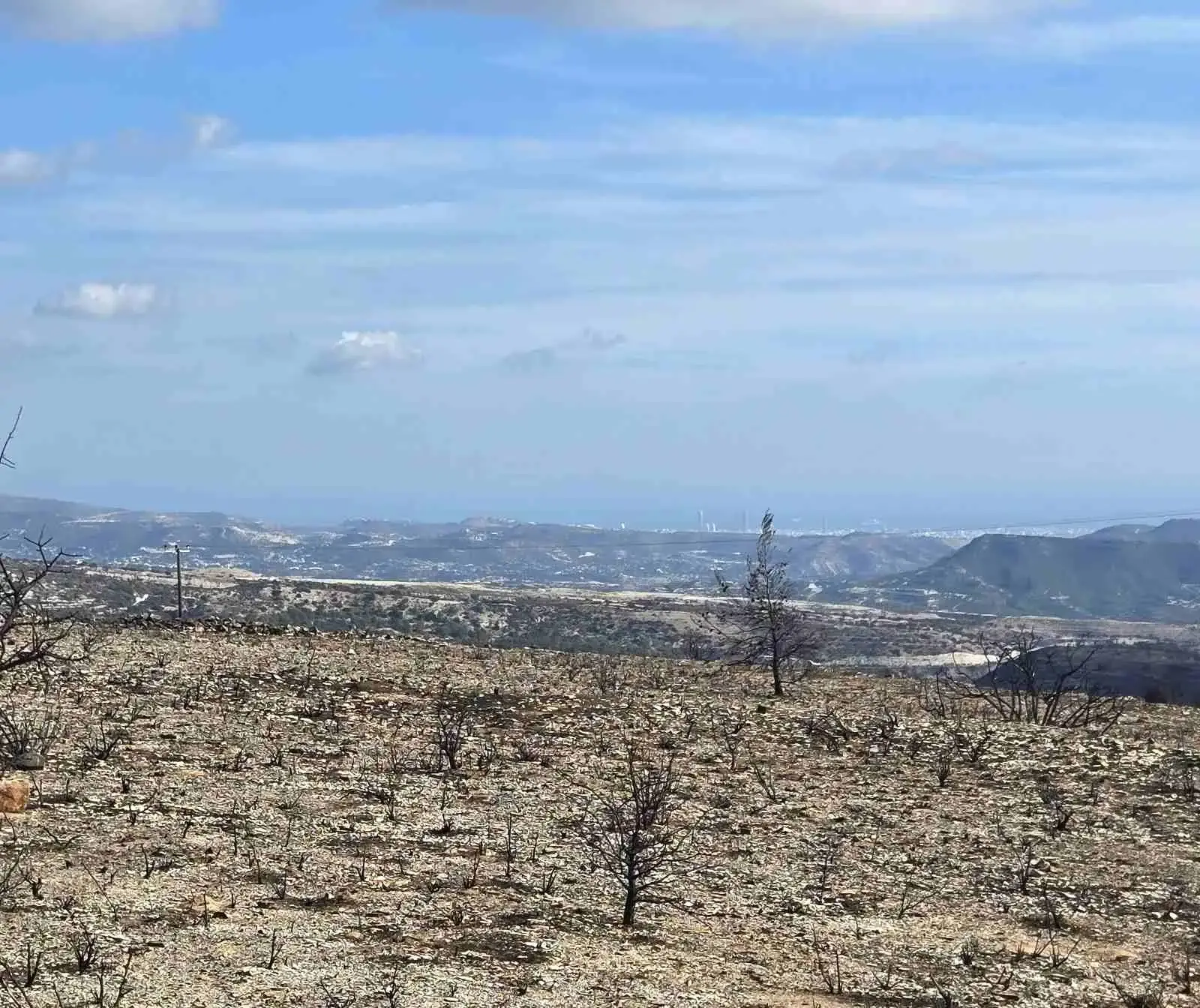 Agricultural Field 1078 m² in Lofou