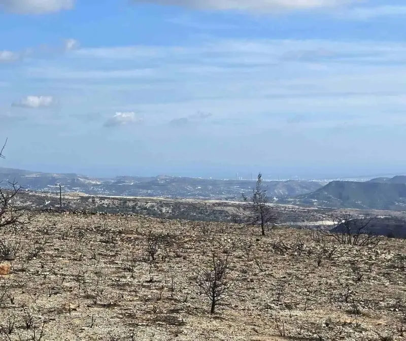 Agricultural Field 1078 m² in Lofou