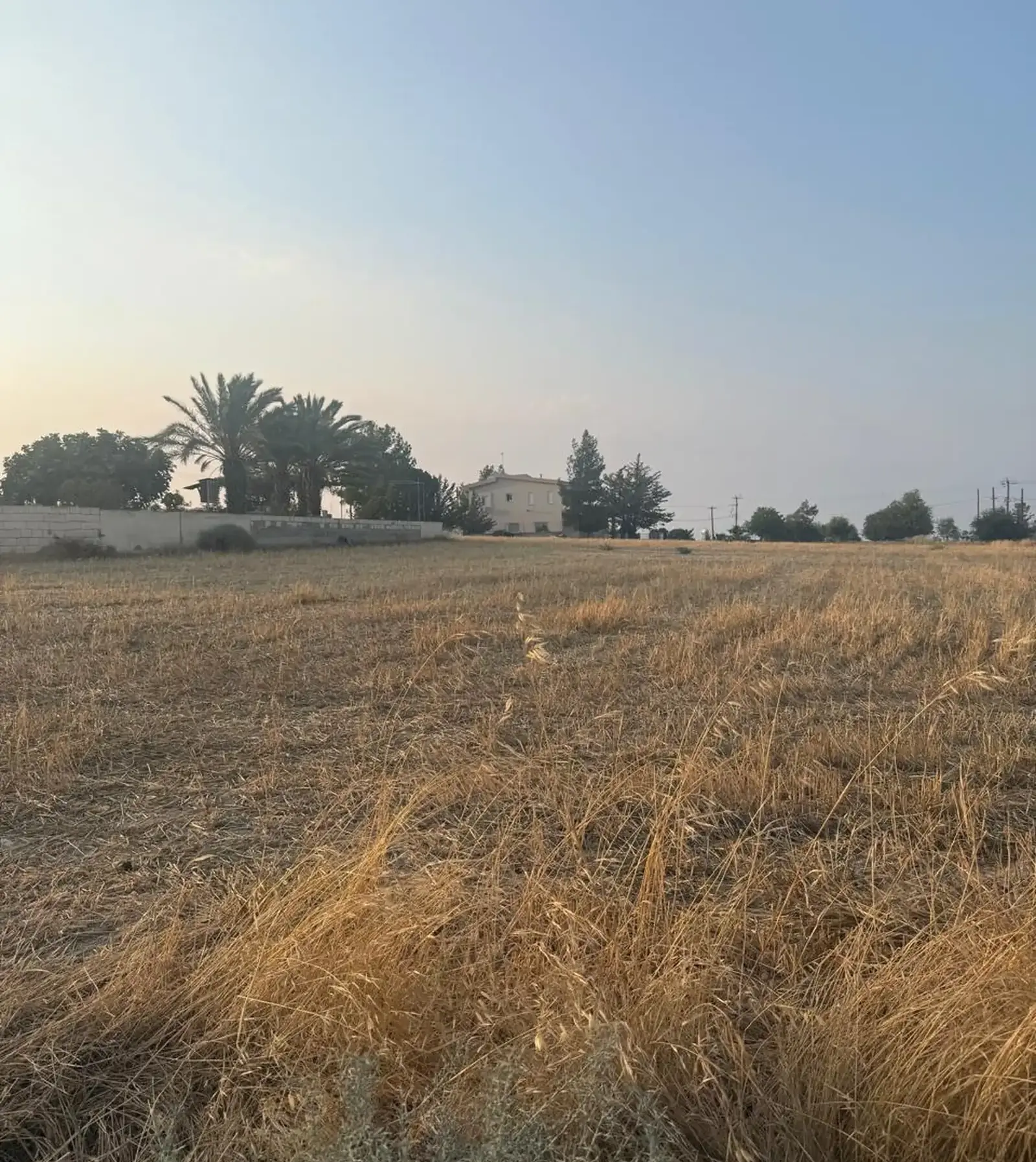 Residential Field 4682 m² in Kampia