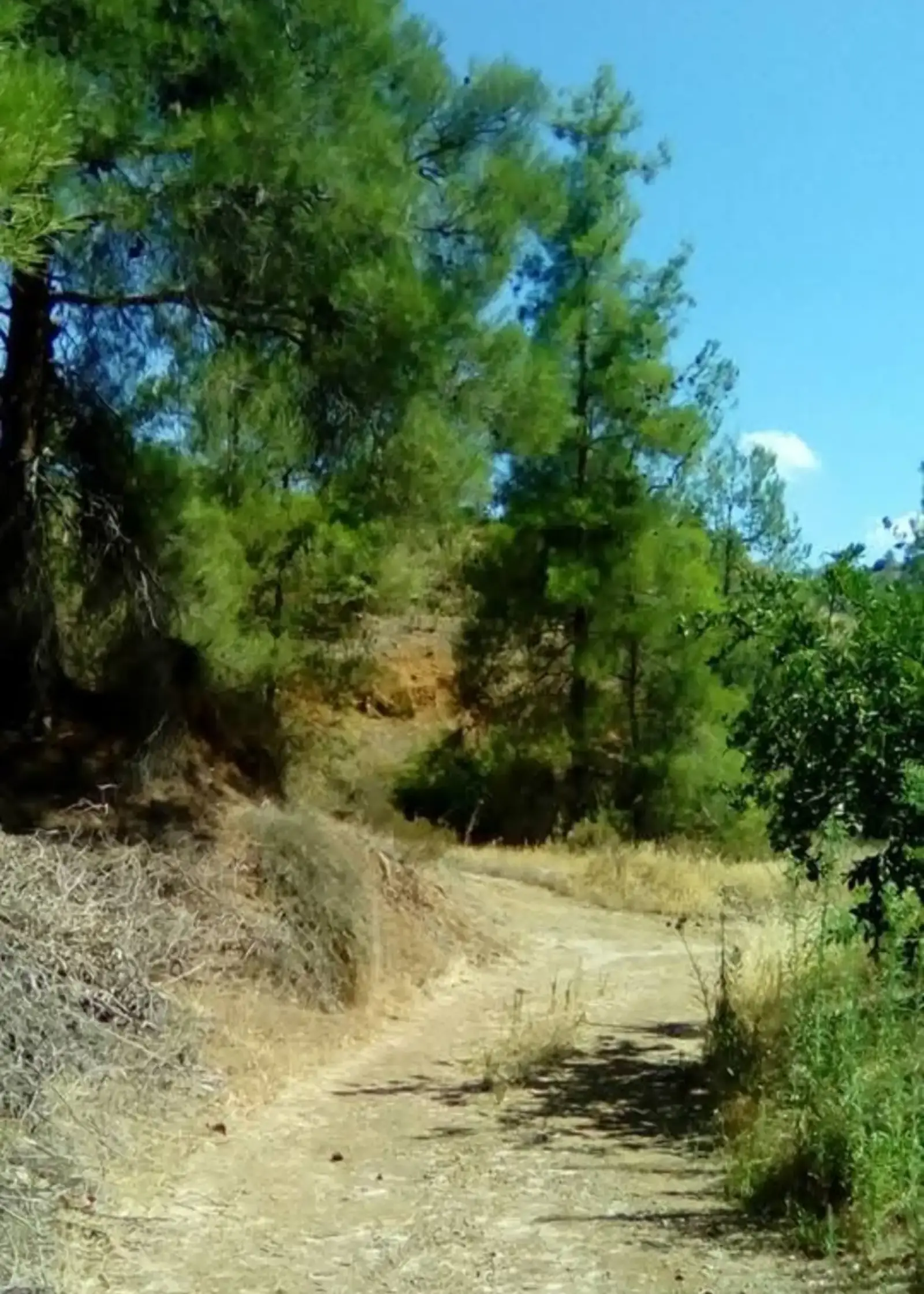 Περιβόλι in Palaichori Oreinis
