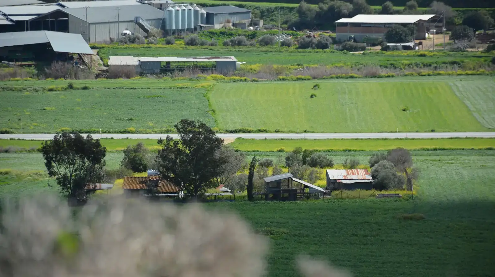 Industrial Field 3600 m² in Kalithea