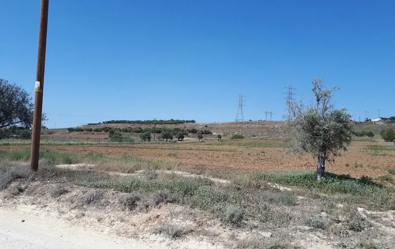 Agricultural Field 2304 m² in Agioi Trimithias