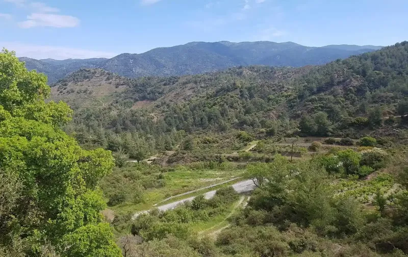 Agricultural Field 7024 m² in Kato Platres