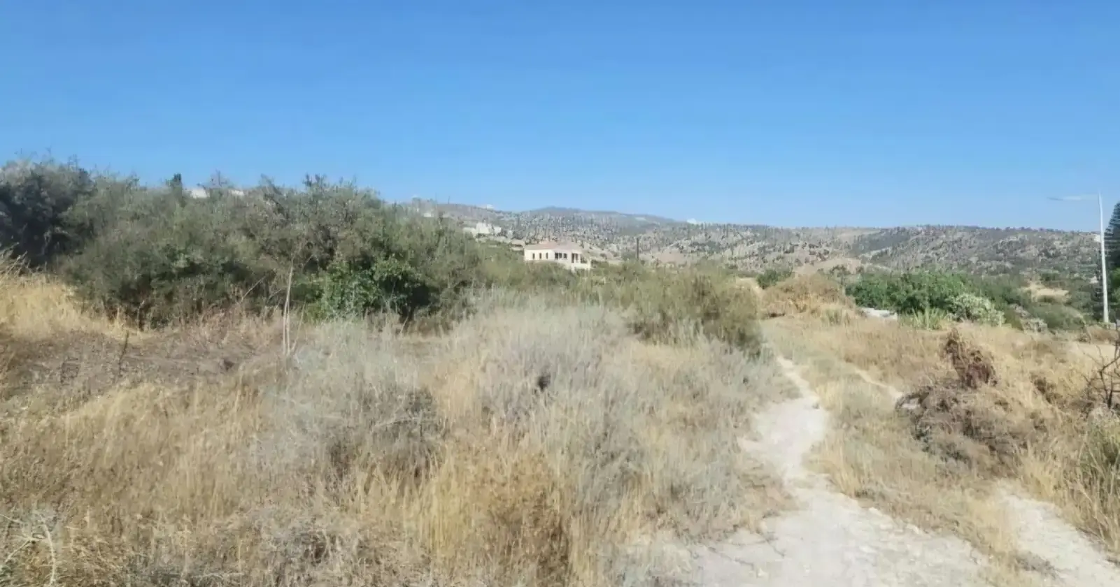 Residential Field 3011 m² in Pegeia