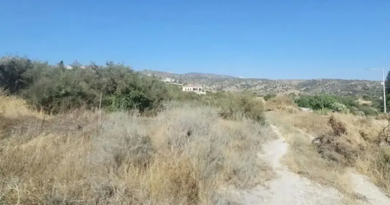 Residential Field 3011 m² in Pegeia