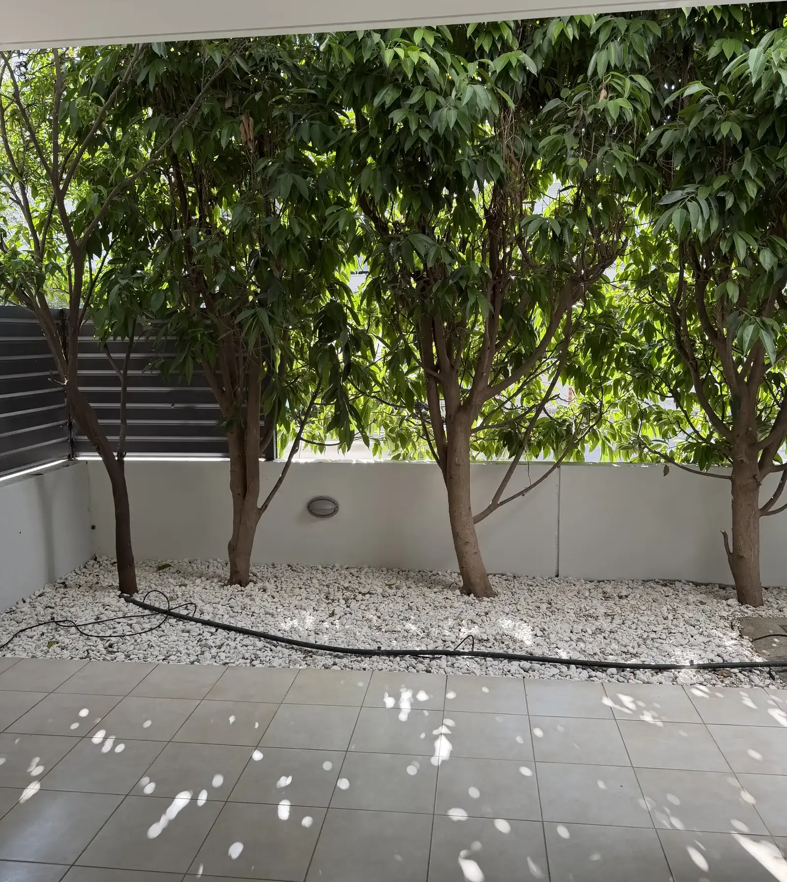 2-bedroom apartment to rent in Strovolos - Stavros