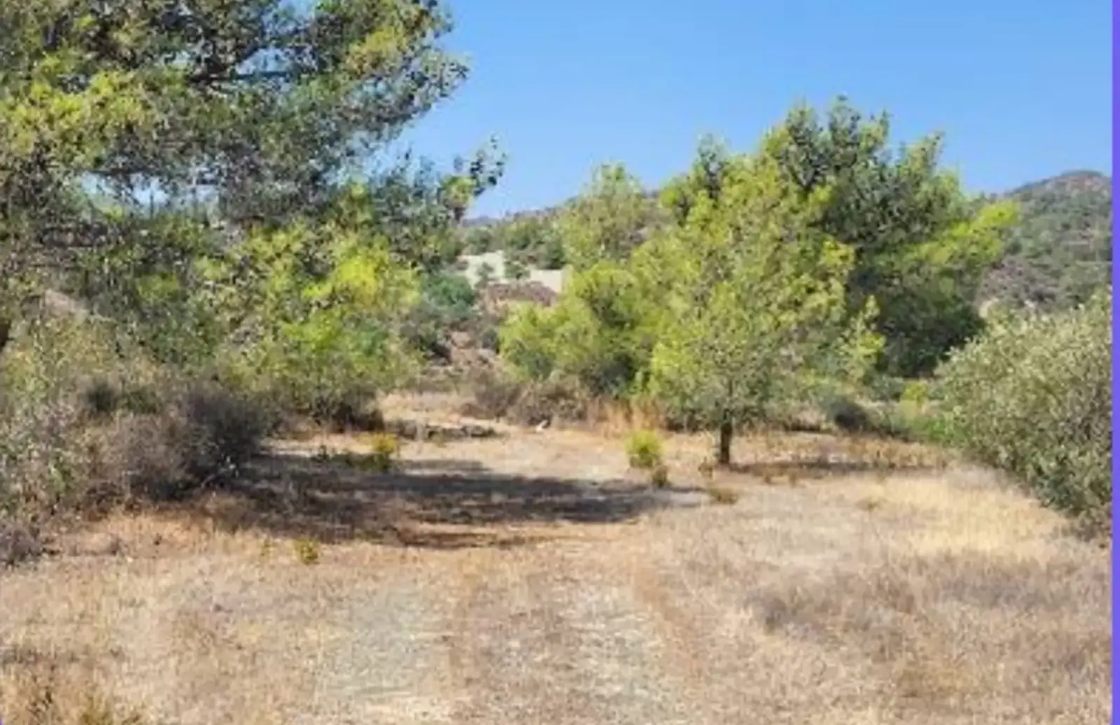 Agricultural Field 5000 m² in Vasa Kellakiou