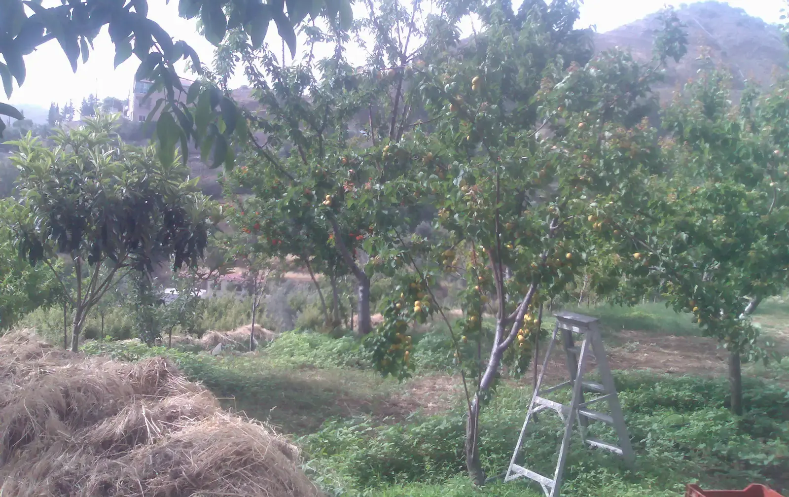 Agricultural Plot 628 m² in Kampi